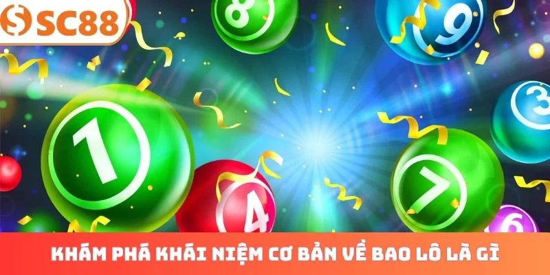 Khám phá khái niệm cơ bản về bao lô là gì